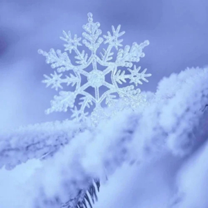 欧美老女人性爱视频
