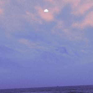 欧美老女人性爱视频
