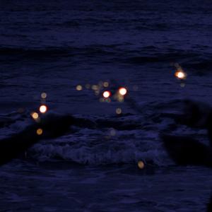 欧美老女人性爱视频
